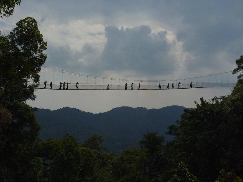 Canopy Walkway en Nyungwe bosque